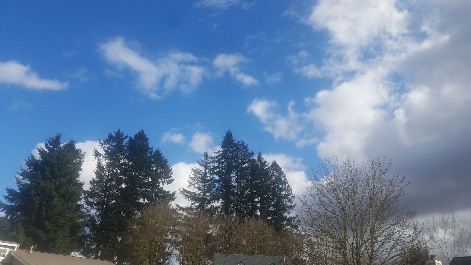 Samsung Galaxy S7 sample photo. Clouds, sky, trees photography