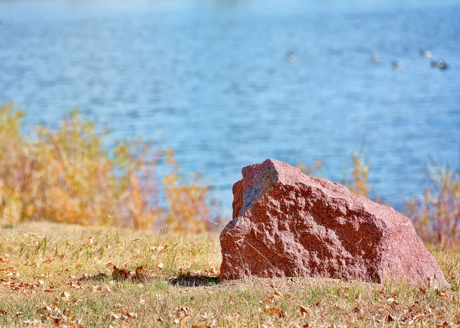 Nikon D7100 sample photo. Rock, lake, shoreline photography