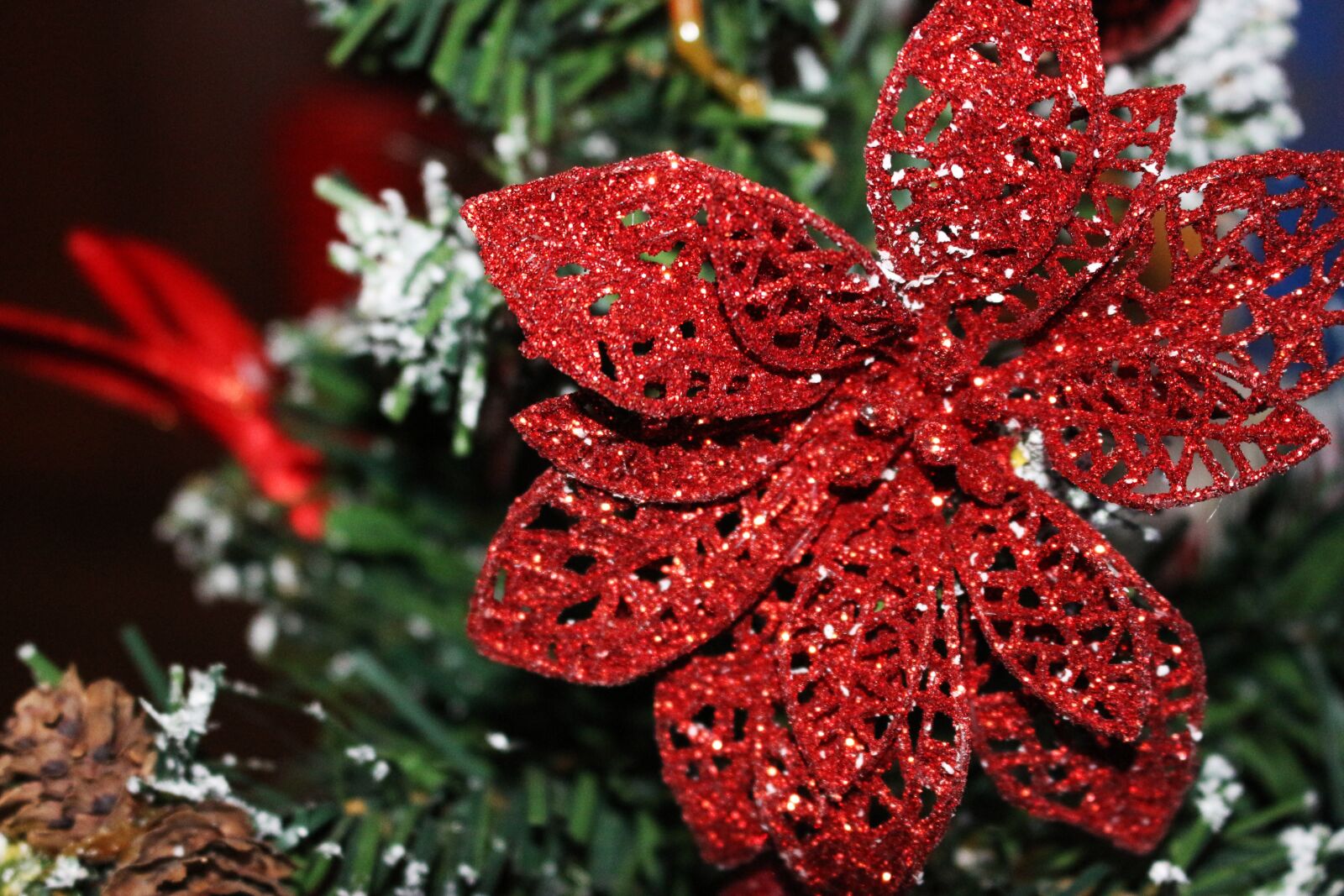 Canon EOS 100D (EOS Rebel SL1 / EOS Kiss X7) sample photo. Christmas, christmas tree, sapling photography