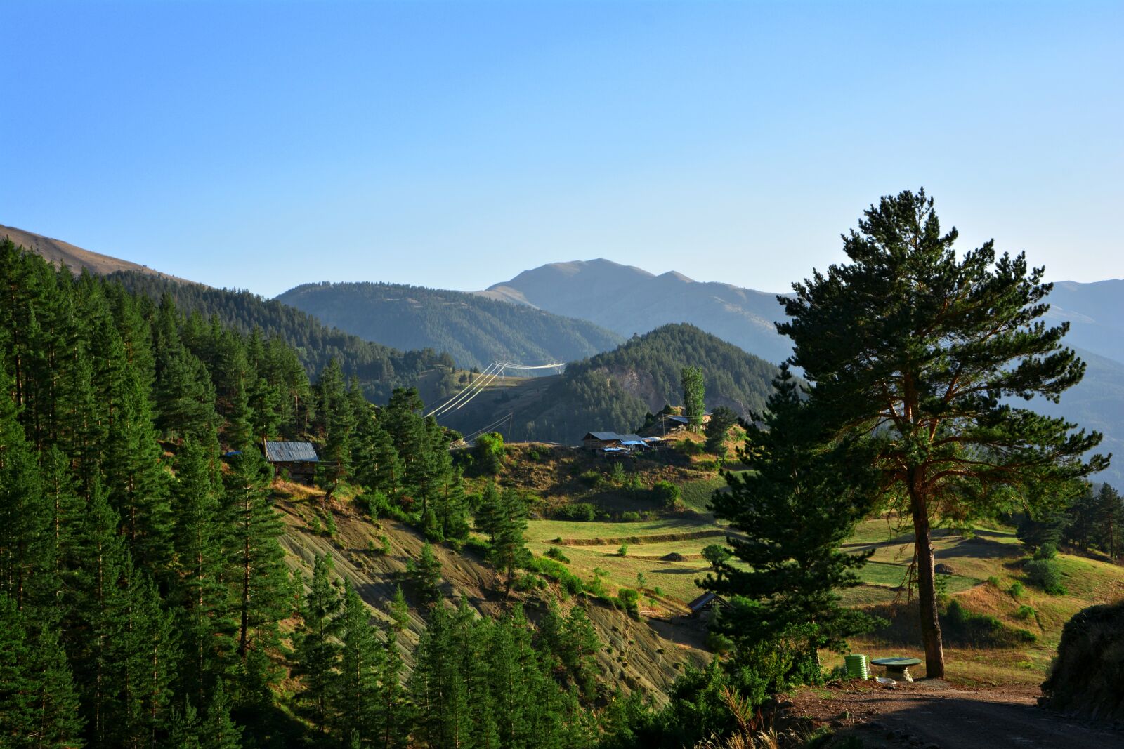 Nikon D7100 sample photo. Forest, highland, nature photography