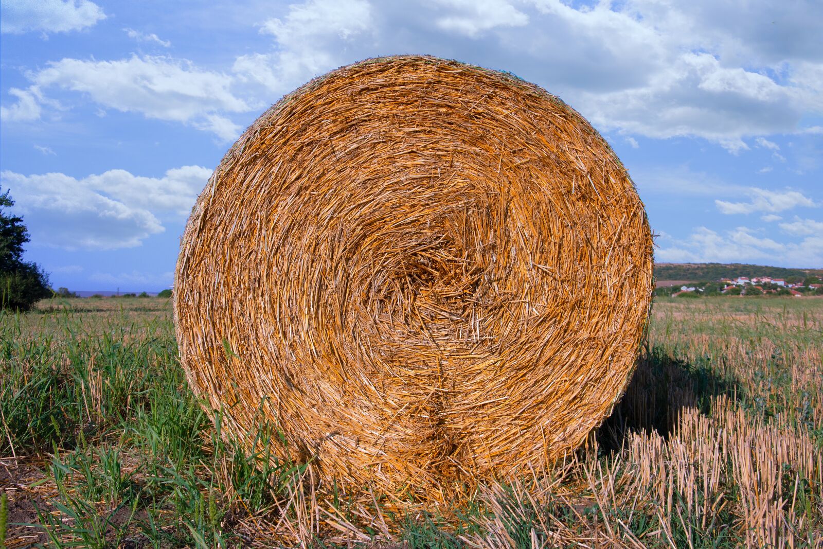 Nikon D7200 sample photo. Round, barley, stack photography