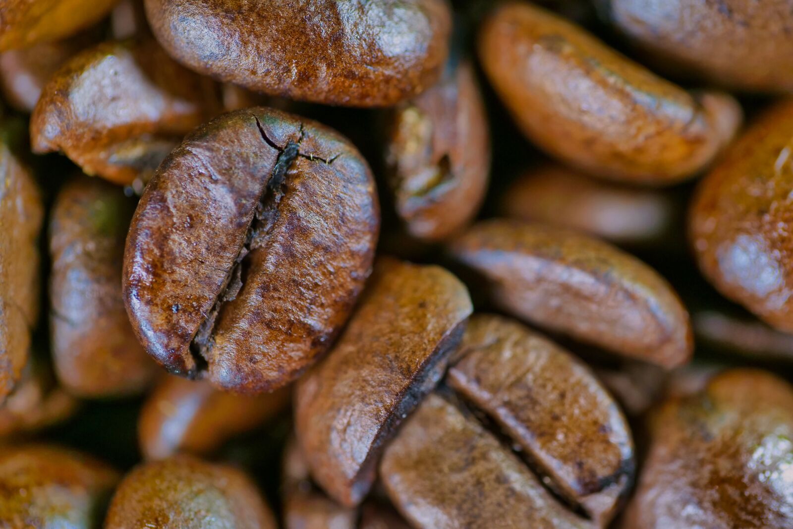 Panasonic Lumix DC-G9 sample photo. Coffee, bean, caffeine photography