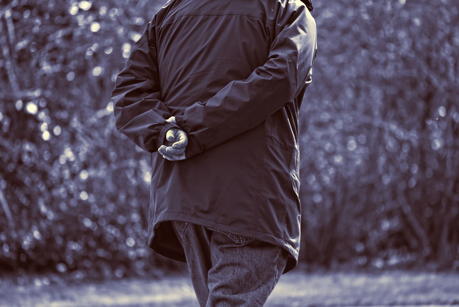 Nikon D750 sample photo. Elderly man, person, walking photography