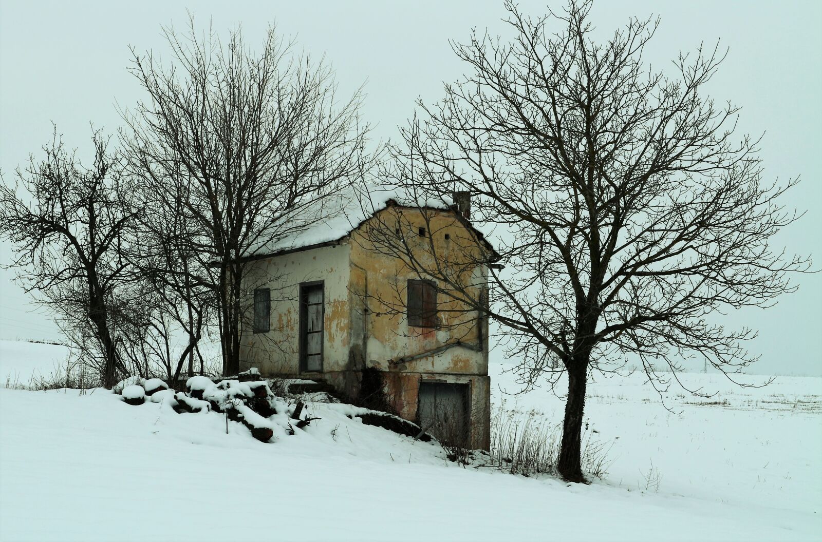 Canon EOS M10 sample photo. Winter, snow, wood photography