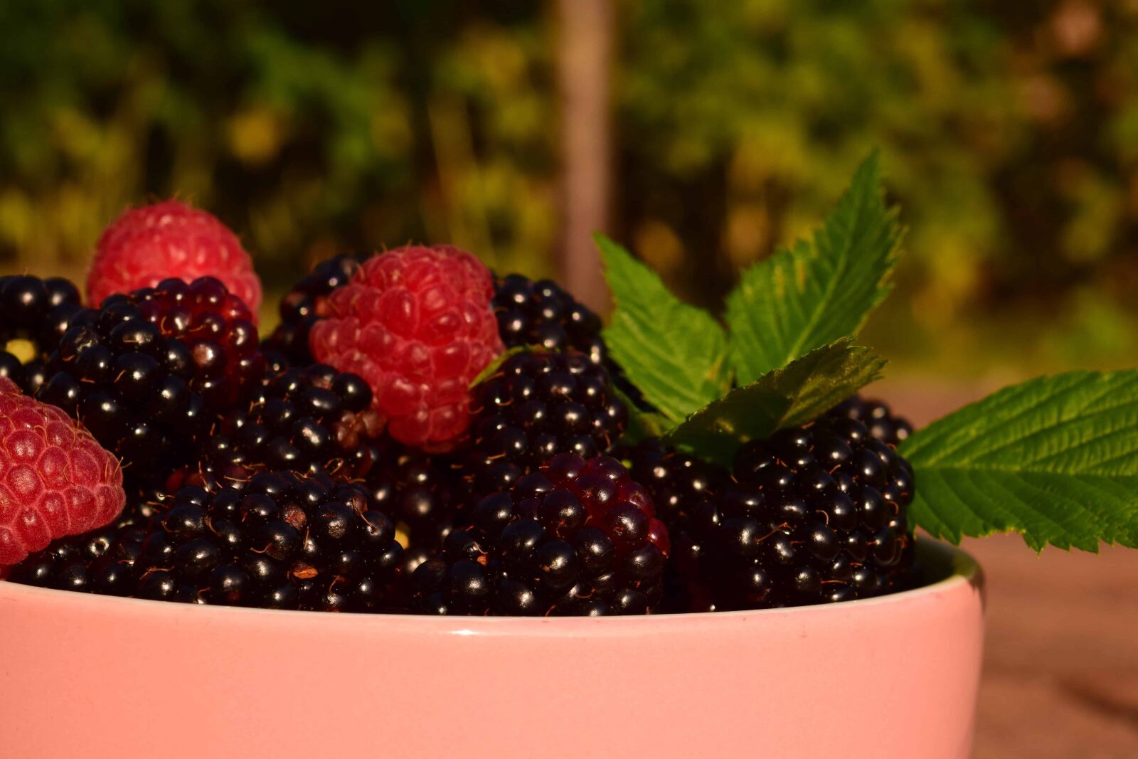 Nikon D3300 sample photo. Sweet, berry, food, raspberry photography