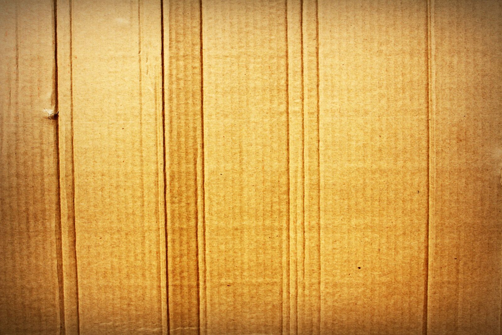 Canon EOS 650D (EOS Rebel T4i / EOS Kiss X6i) sample photo. Abstract, art, yellow photography
