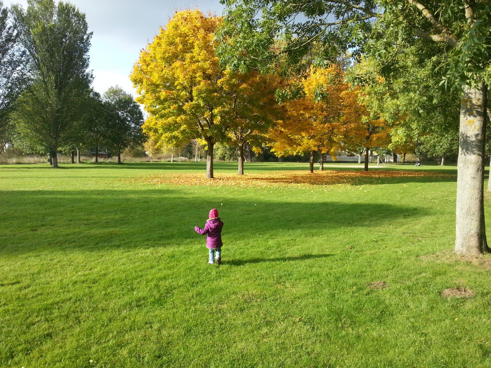 Samsung Galaxy S3 sample photo. Autumn, trees, golden autumn photography