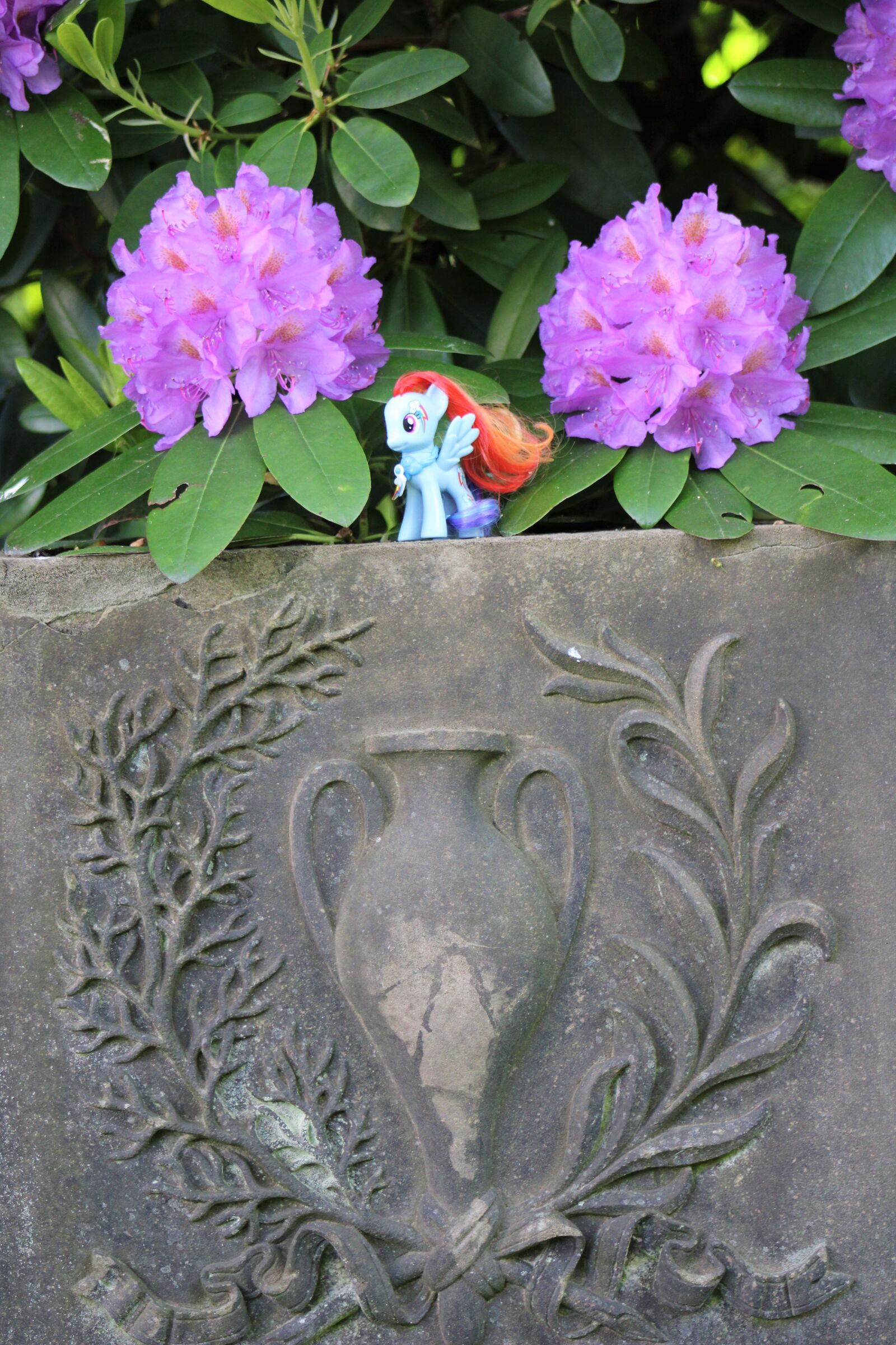 Canon EF75-300mm f/4-5.6 sample photo. My little pony, toys photography