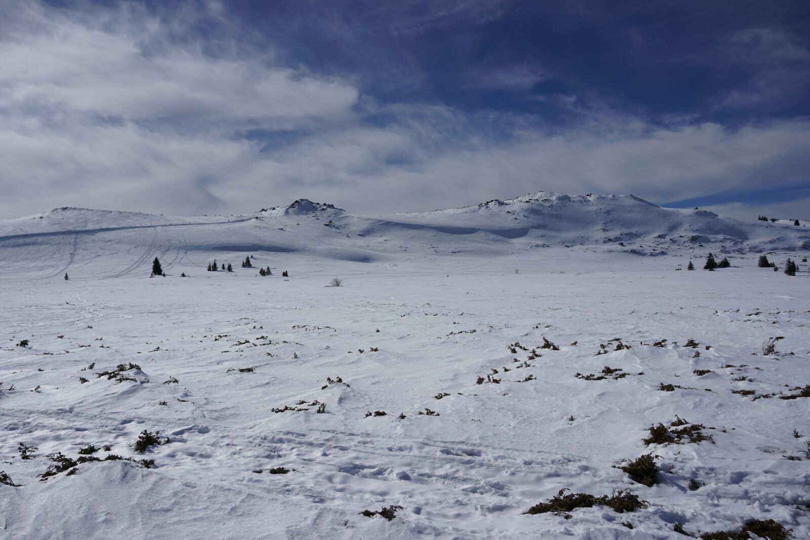 Sony a5100 sample photo. Scenery, mountain, vitosha photography