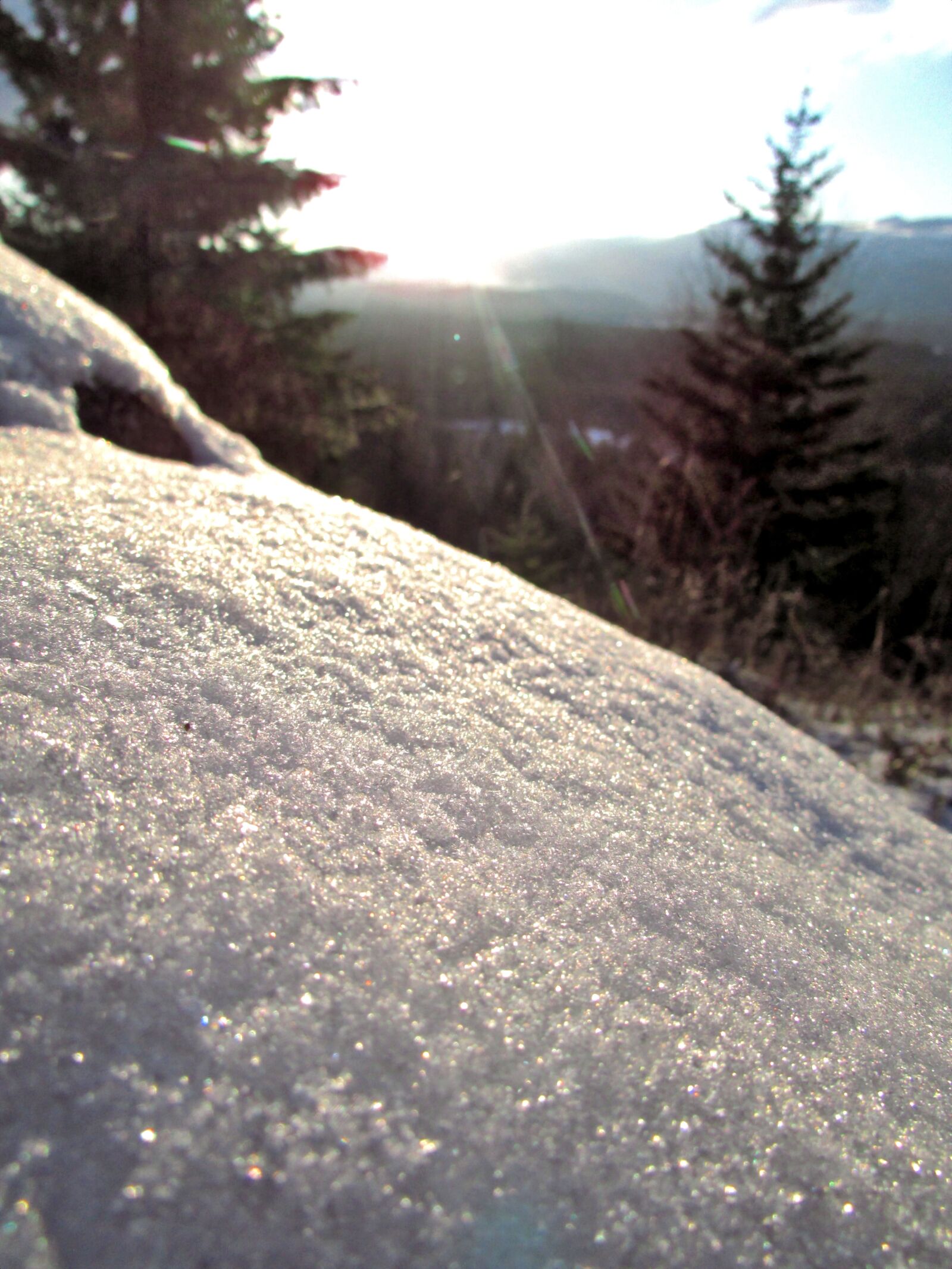 Canon PowerShot SX500 IS sample photo. Snow, sun, trees photography