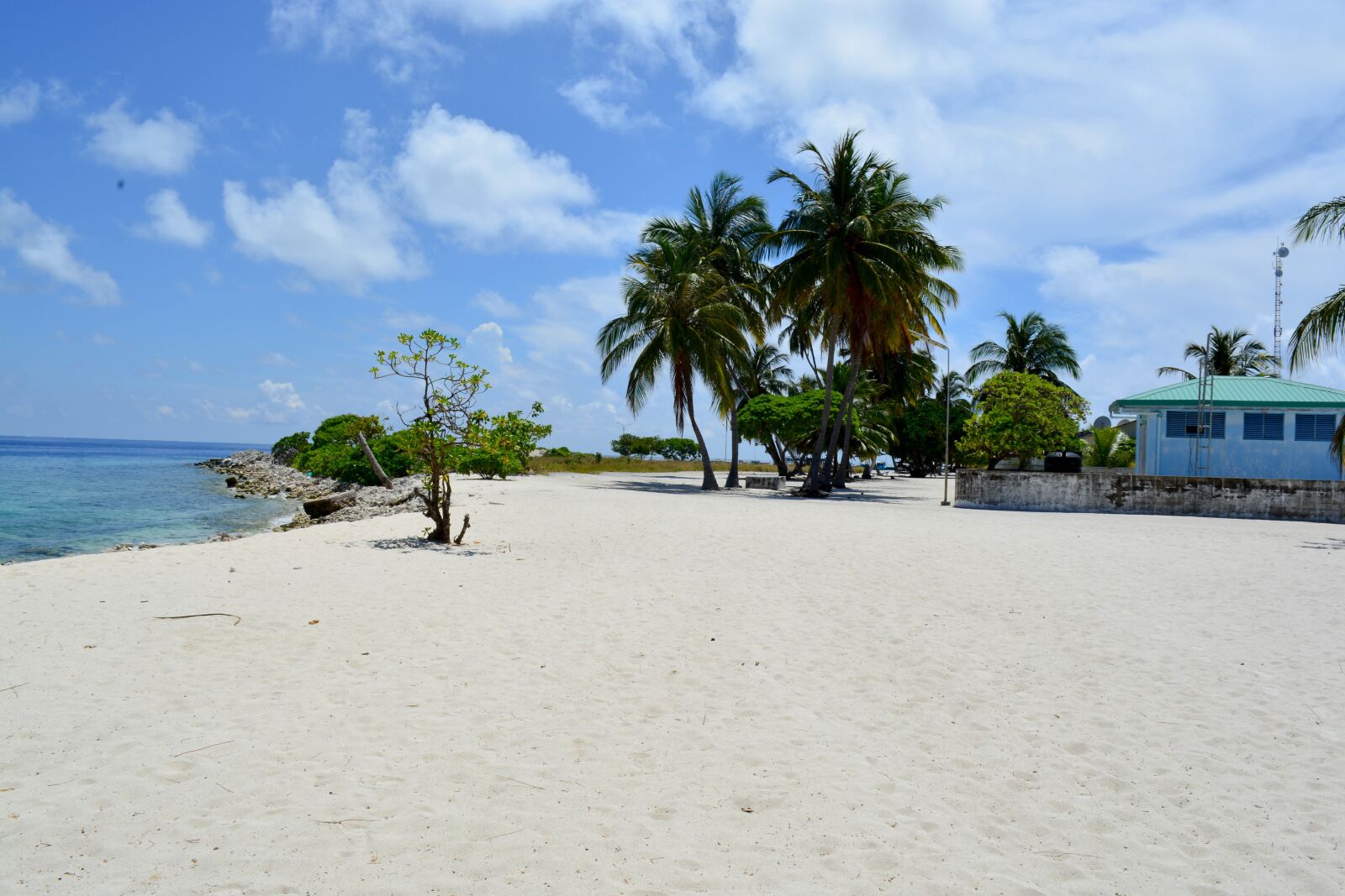 Nikon D5200 sample photo. Palm tree, beach, baa photography