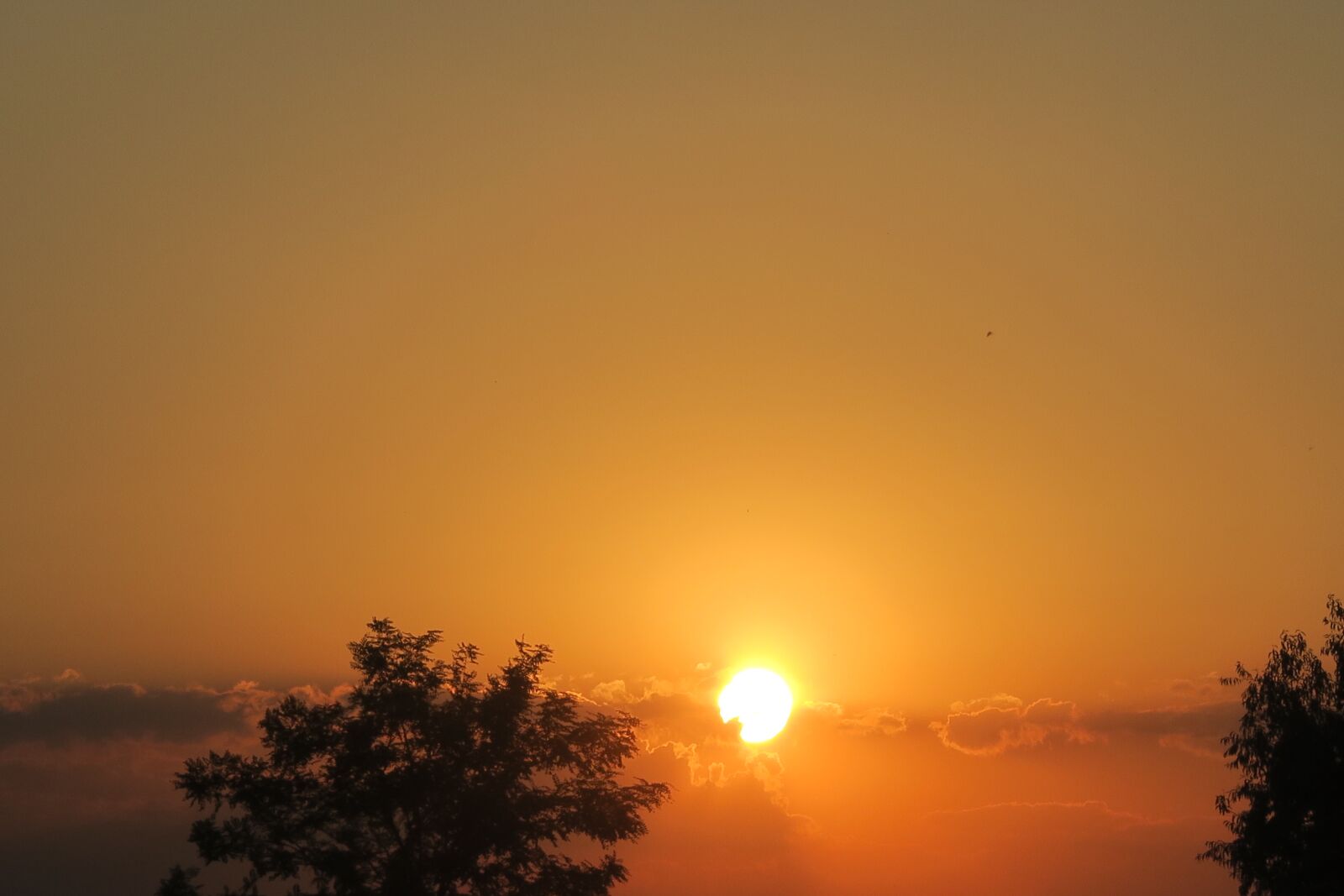Canon PowerShot G7 X sample photo. Sunset, in the evening photography