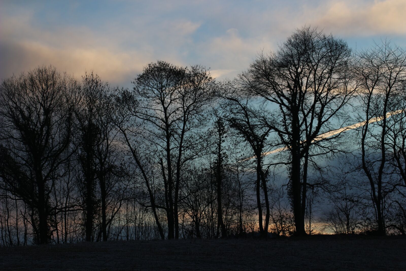 Canon EOS 100D (EOS Rebel SL1 / EOS Kiss X7) sample photo. Trees, colors, winter landscape photography