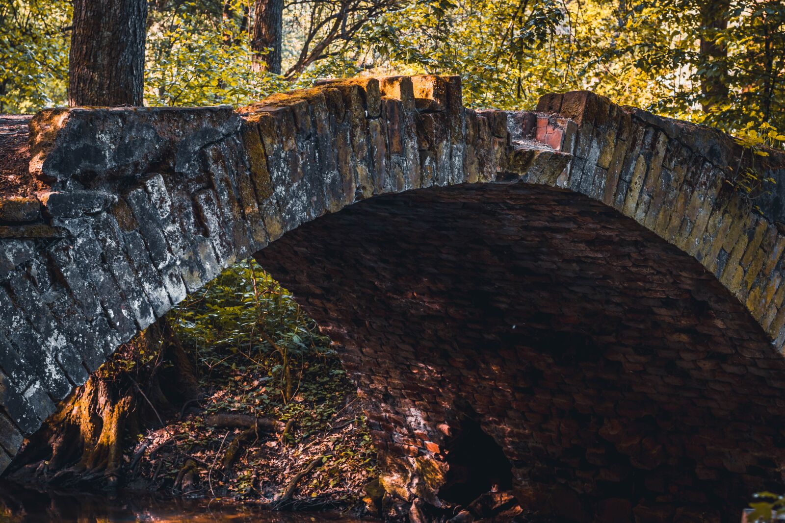 Nikon D5600 sample photo. Bridge, bridges, river photography