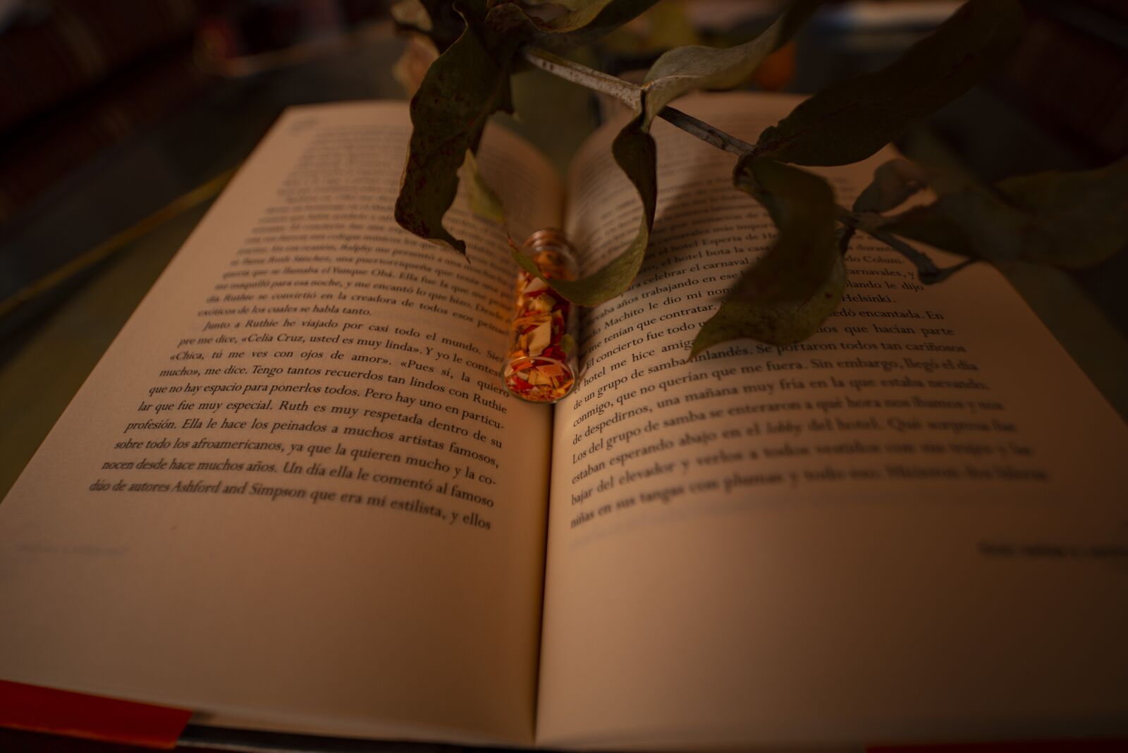 Nikon D600 sample photo. Book, dark, night photography