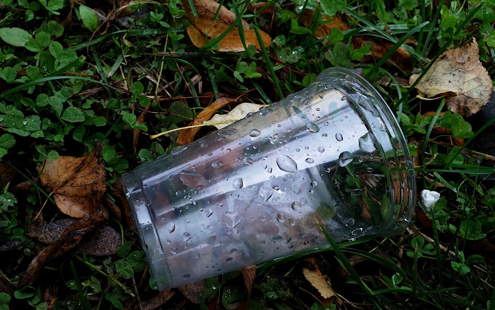 HMD Global Nokia 8 sample photo. Trash, plastic, environment photography