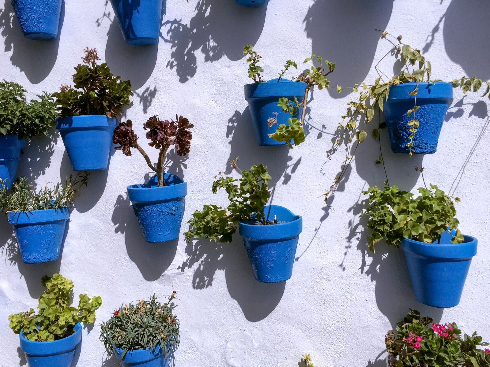 Apple iPhone 6 sample photo. Pots, blue, wall photography