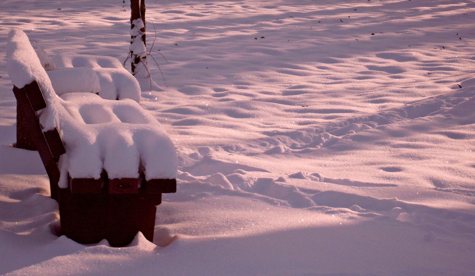 Samsung KENOX S860  / Samsung S860 sample photo. Nature, winter, sunshine photography