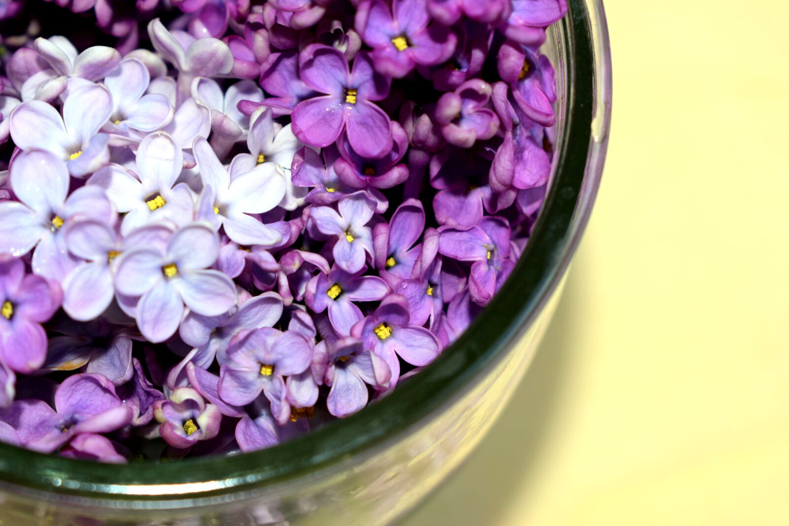 Nikon D3300 sample photo. Vase, flowers, purple photography