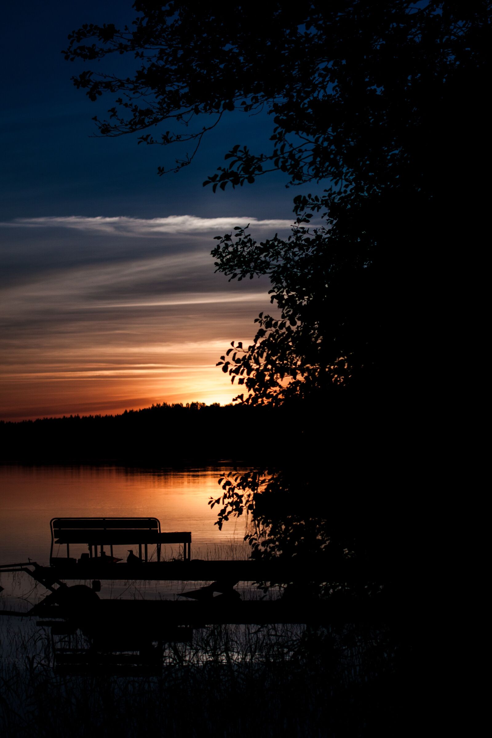 Canon EOS 50D sample photo. Summer evening, nature, lake photography