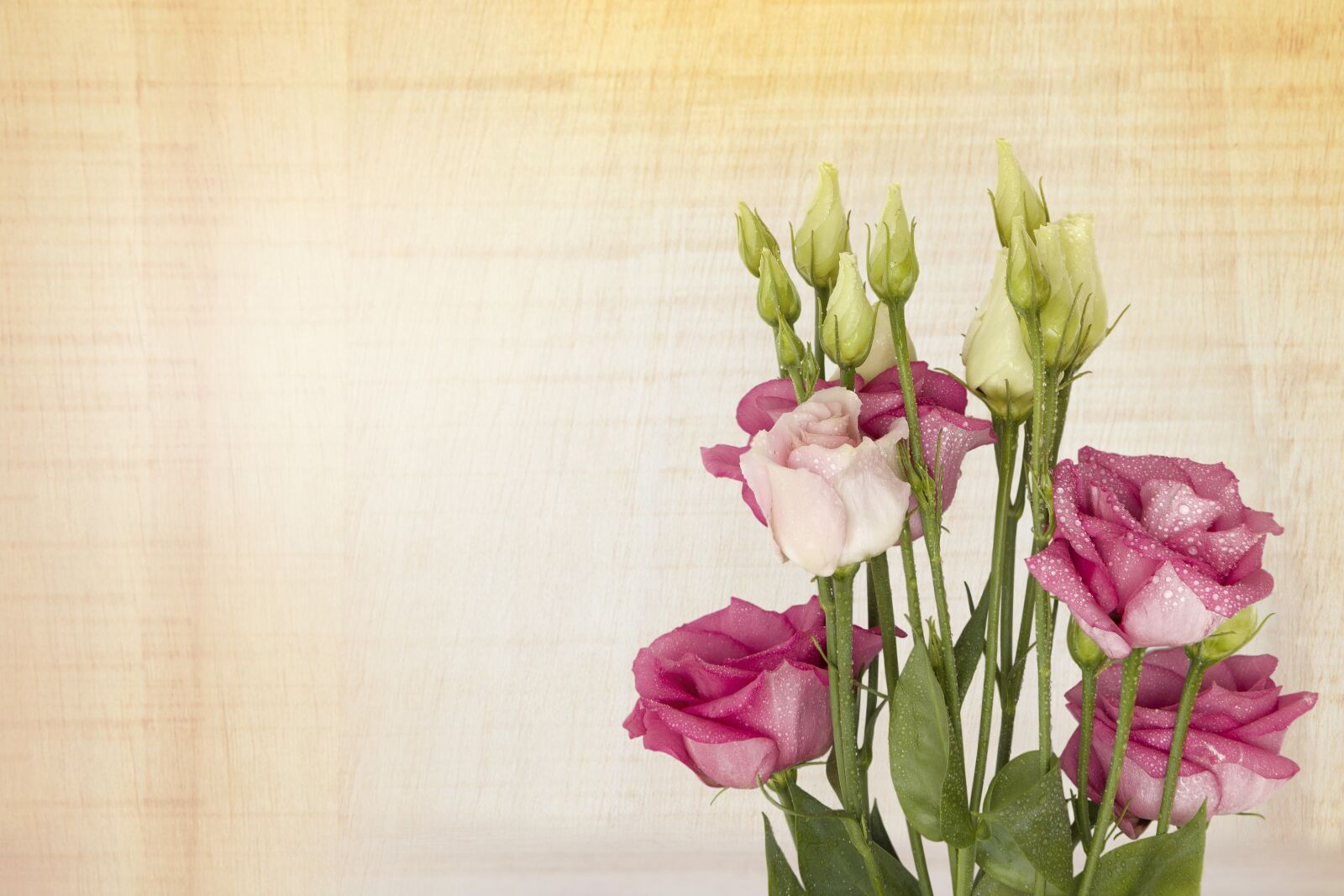 Canon EOS 7D Mark II sample photo. Pink lisianthus, floral greeting photography
