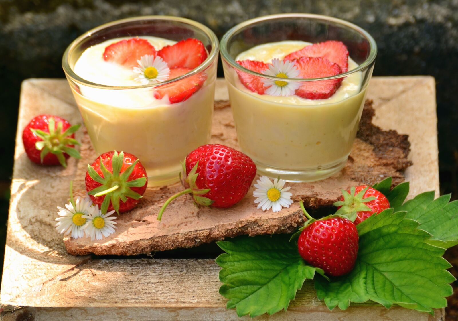 Nikon D5100 sample photo. Strawberry, pudding, fruit, sweet photography