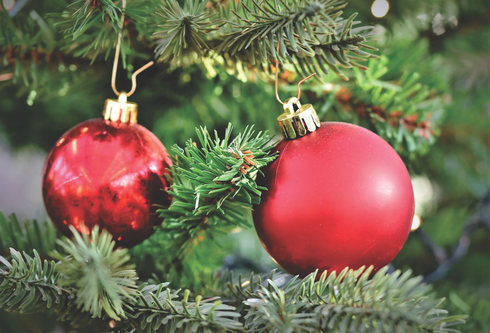 Nikon D7200 sample photo. Christmas ornament, christmas ornaments photography