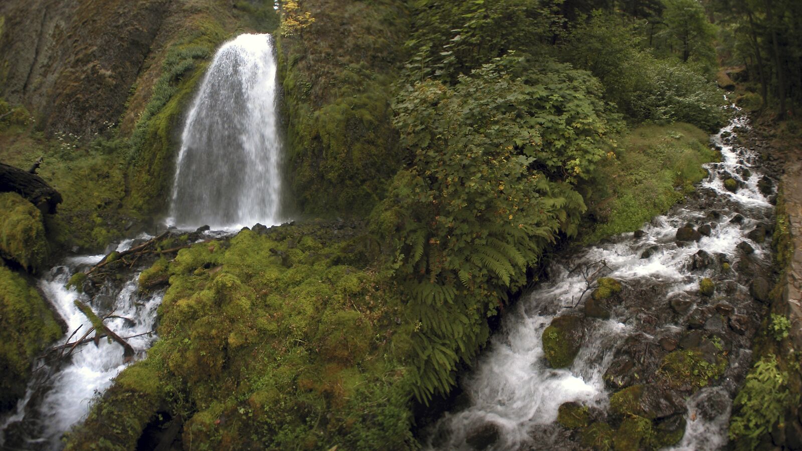 Nikon E5000 sample photo. Waterfall, oregon, nature photography