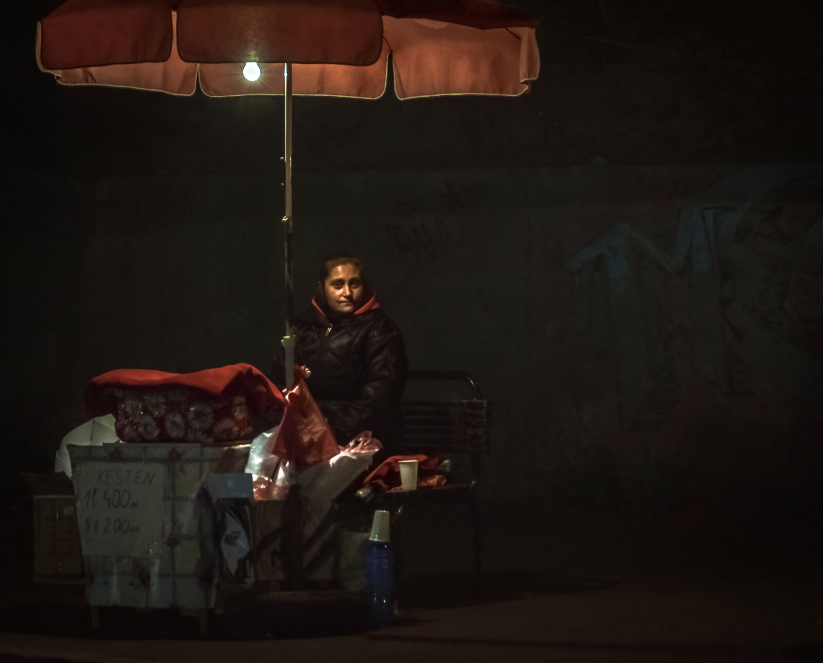 Nikon D3300 sample photo. Chestnut, gypsies, night, rembrant photography