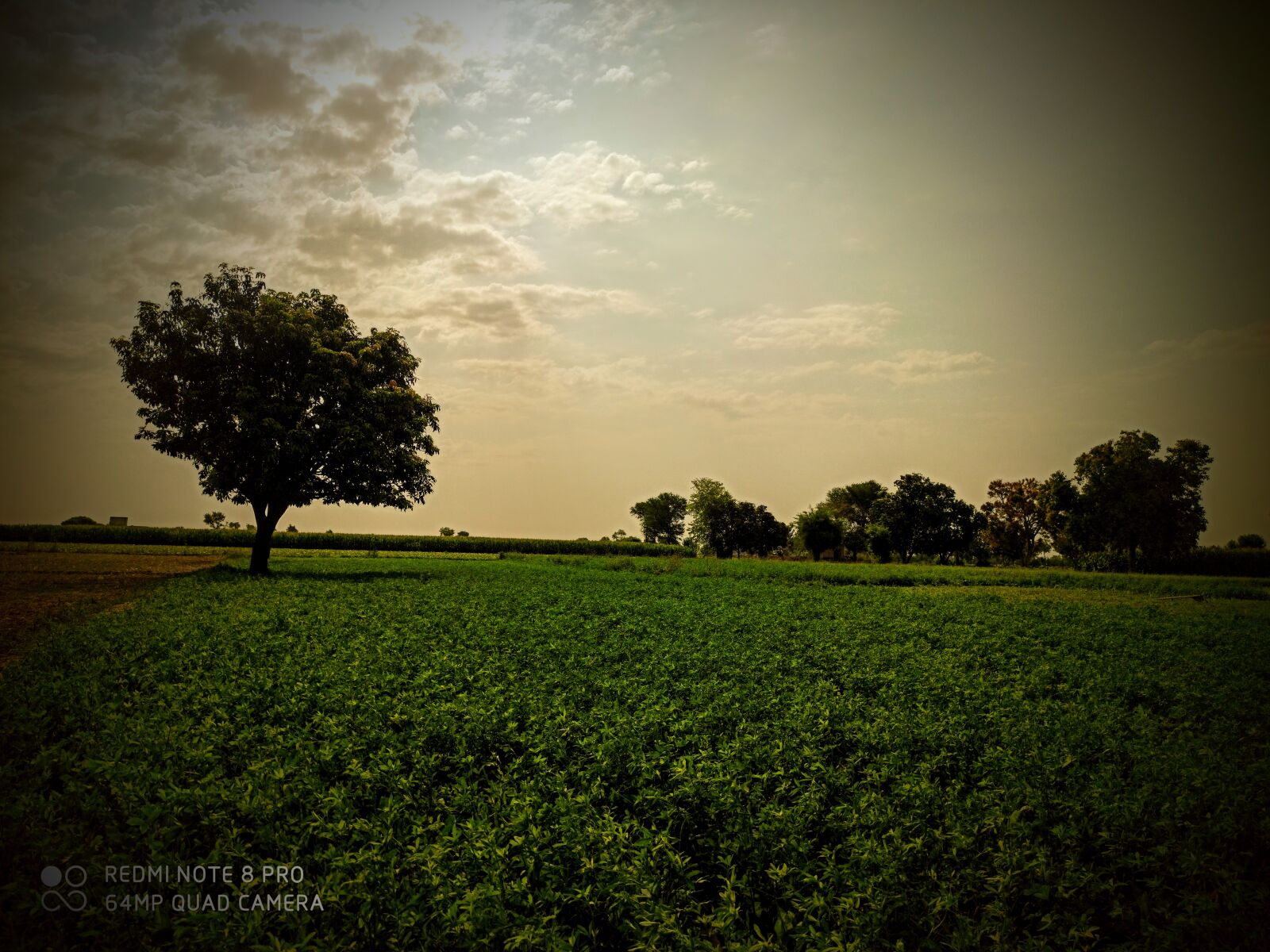 Xiaomi Redmi Note 8 Pro sample photo. How, pakistan, look photography