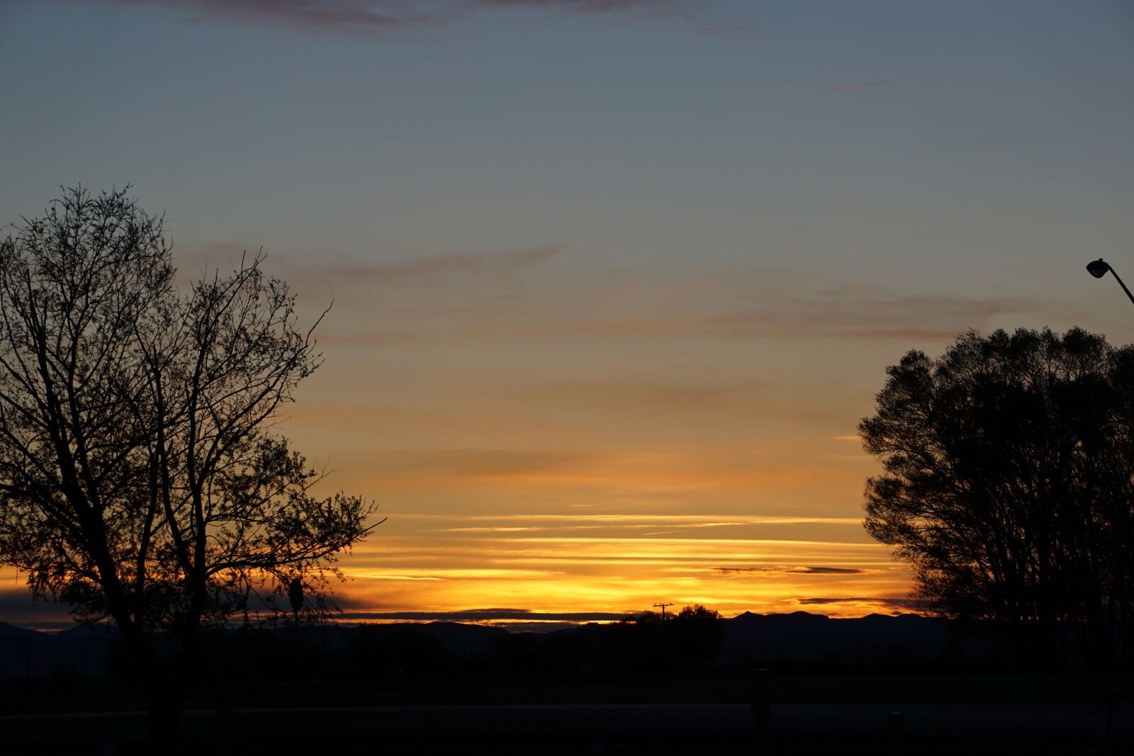 Sony a6000 sample photo. Sunset, silhouette, tree silhouette photography