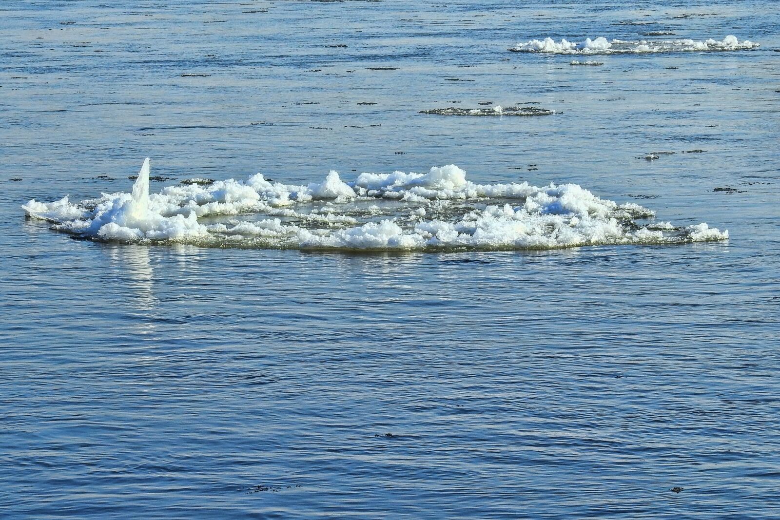 Nikon Coolpix P900 sample photo. Ice floe, drift ice photography