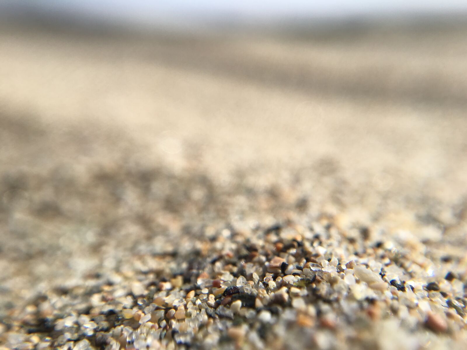 Apple iPhone 6s Plus sample photo. Macro, sabbia photography