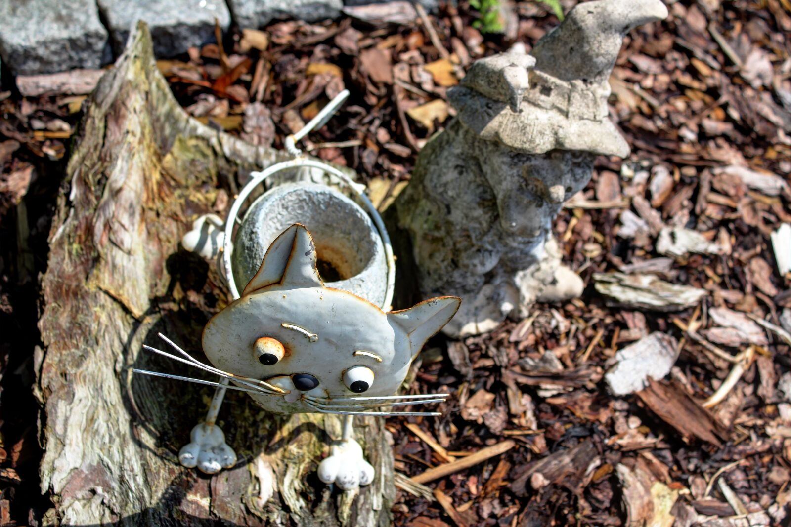 Canon EOS 600D (Rebel EOS T3i / EOS Kiss X5) sample photo. Cat, figure, tin photography