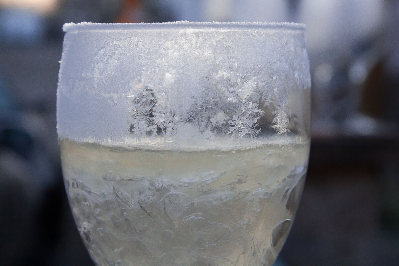 Canon EF-S 17-85mm F4-5.6 IS USM sample photo. Glass, champagne, frozen photography