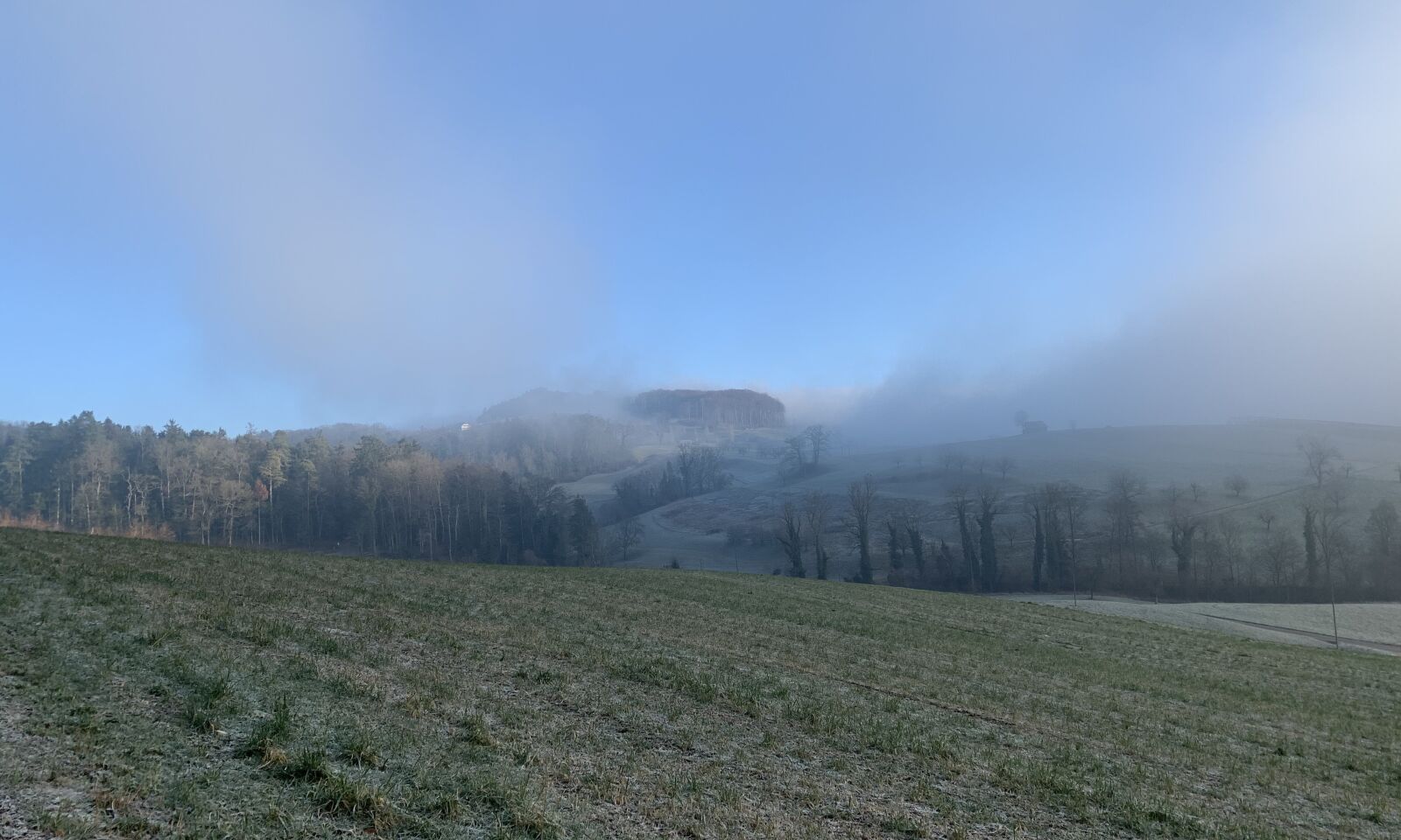 Apple iPhone XR sample photo. Autumn, fog, landscape photography