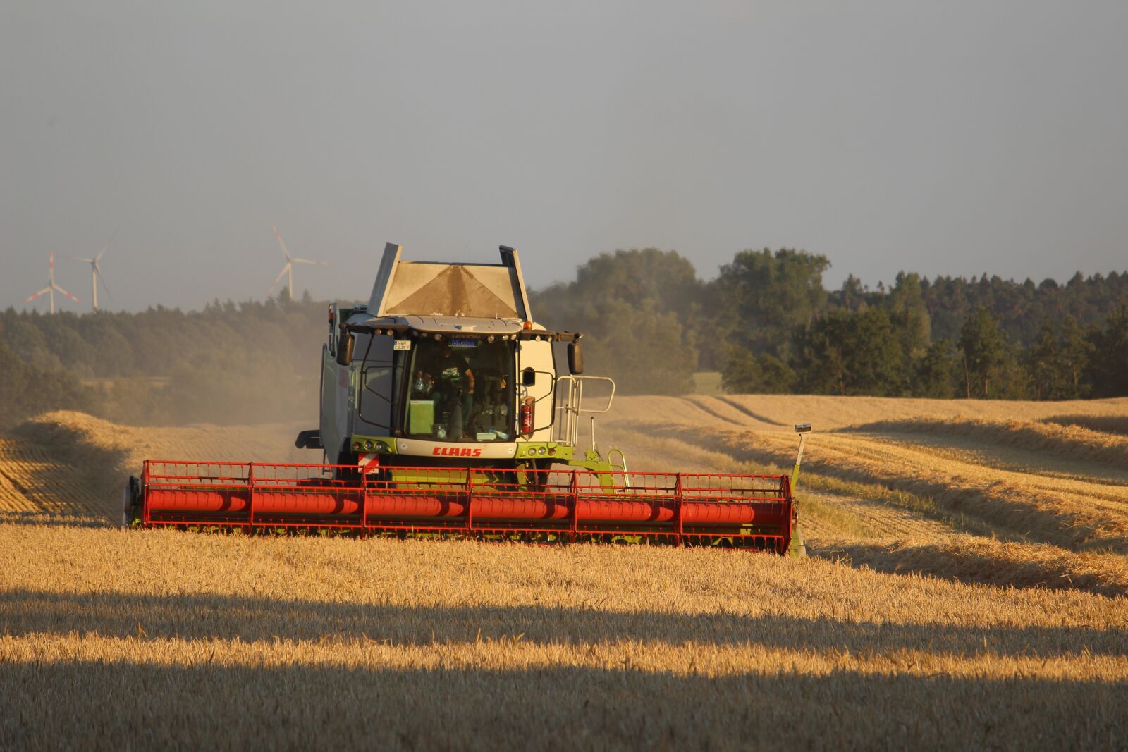 Canon EOS 600D (Rebel EOS T3i / EOS Kiss X5) sample photo. Summer, mow, barley photography