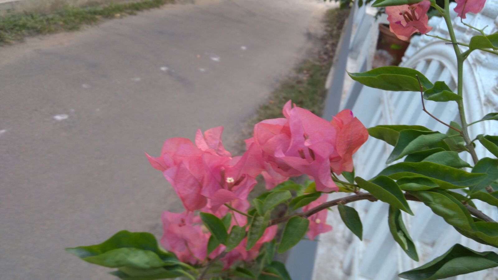 Lenovo K6 NOTE sample photo