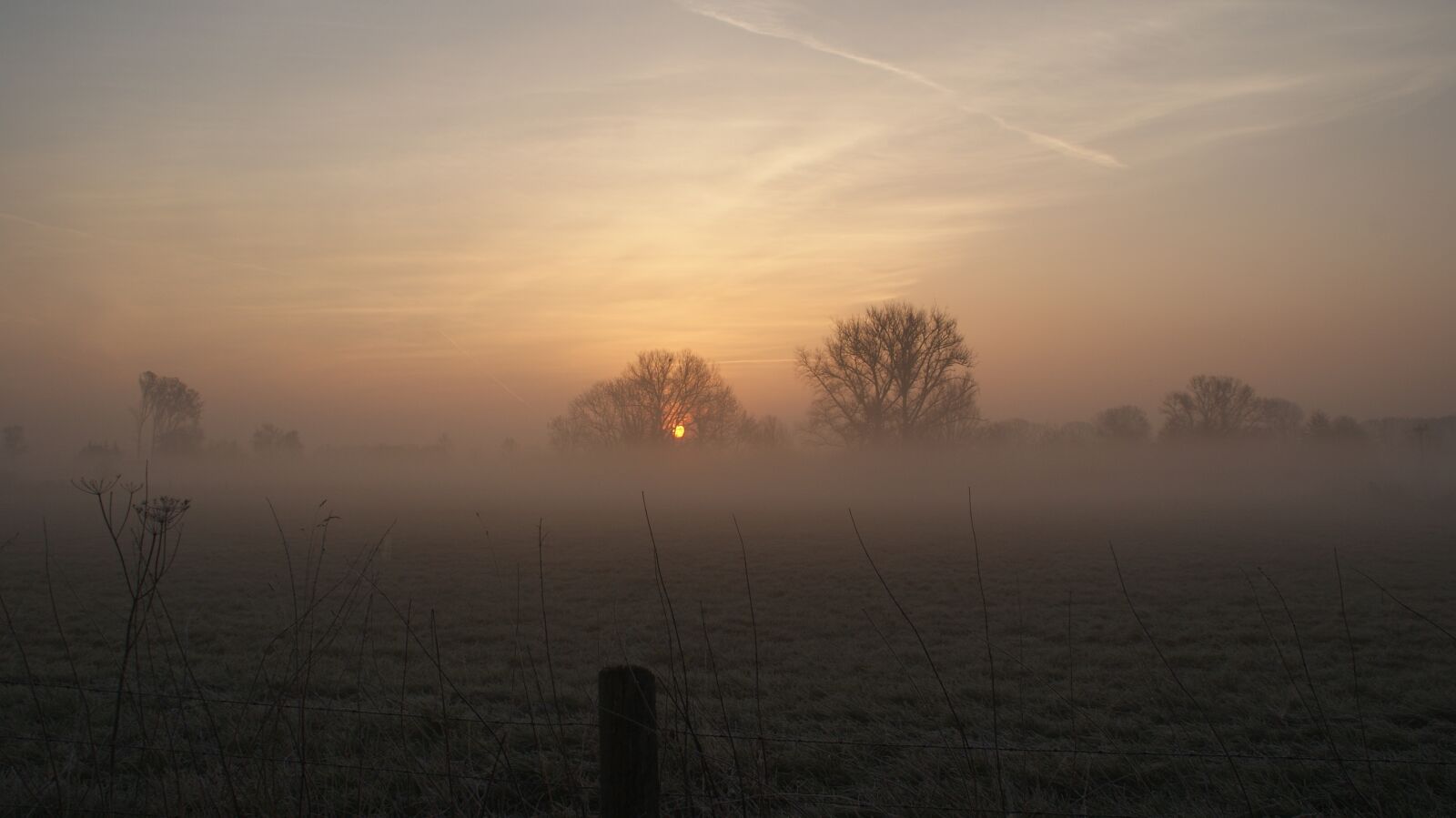 Sony Alpha DSLR-A200 sample photo. Fog, dawn, landscape photography
