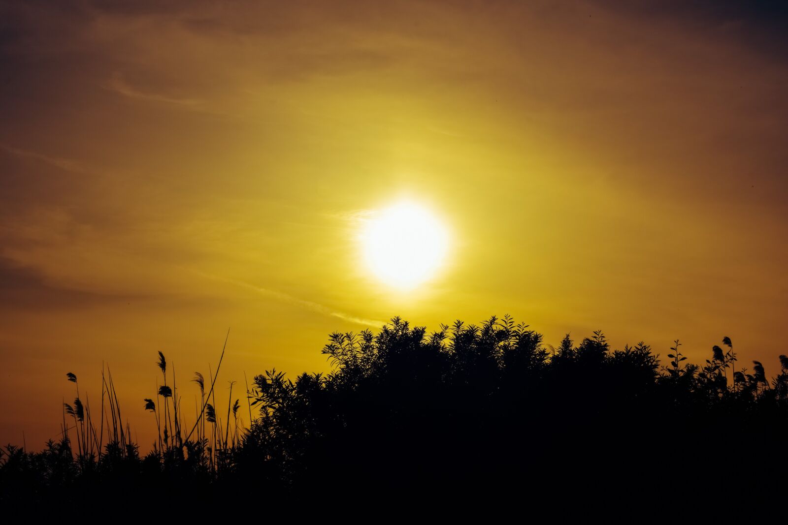 Nikon D3300 sample photo. Sunset, sun, dusk photography