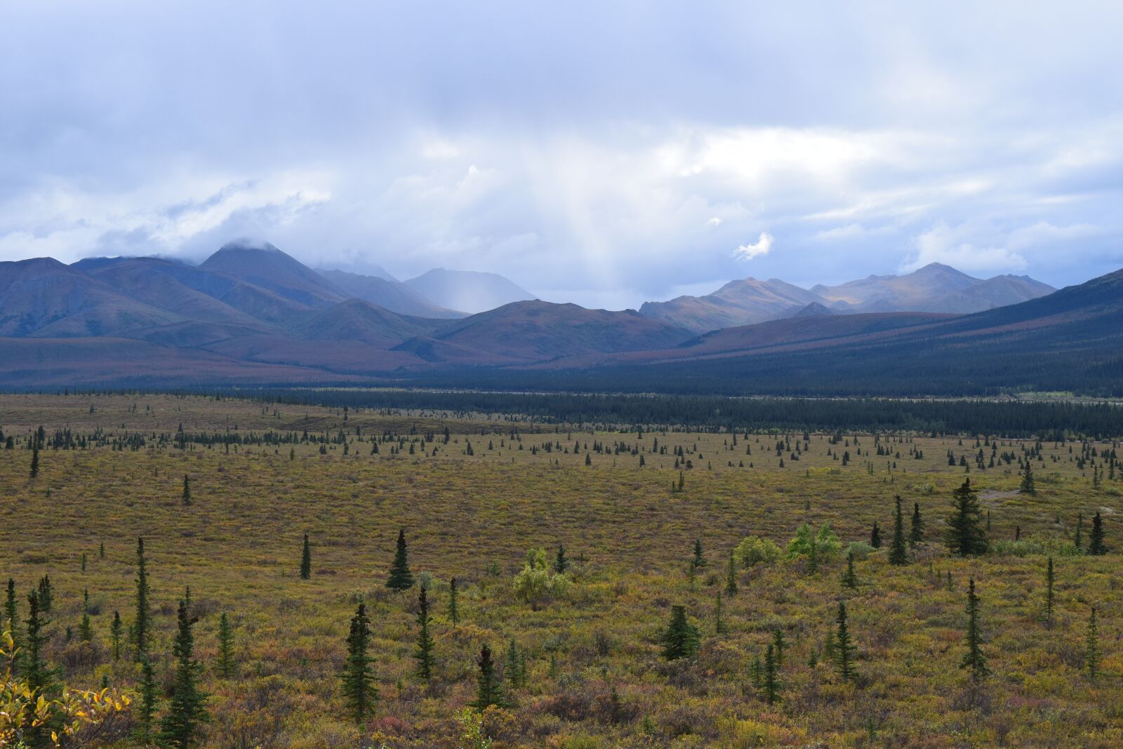 Nikon D3300 sample photo. Denali national park, alaska photography