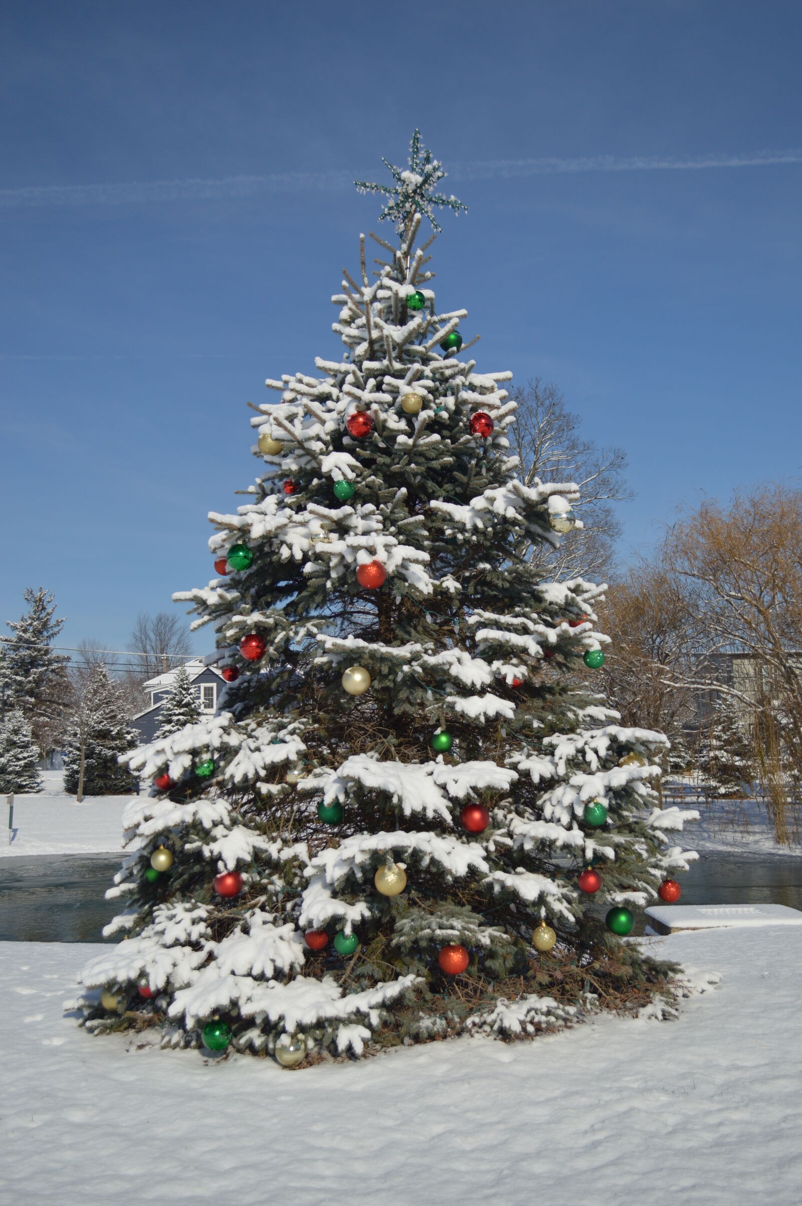 Nikon D3200 sample photo. Christmas tree, christmas, holiday photography