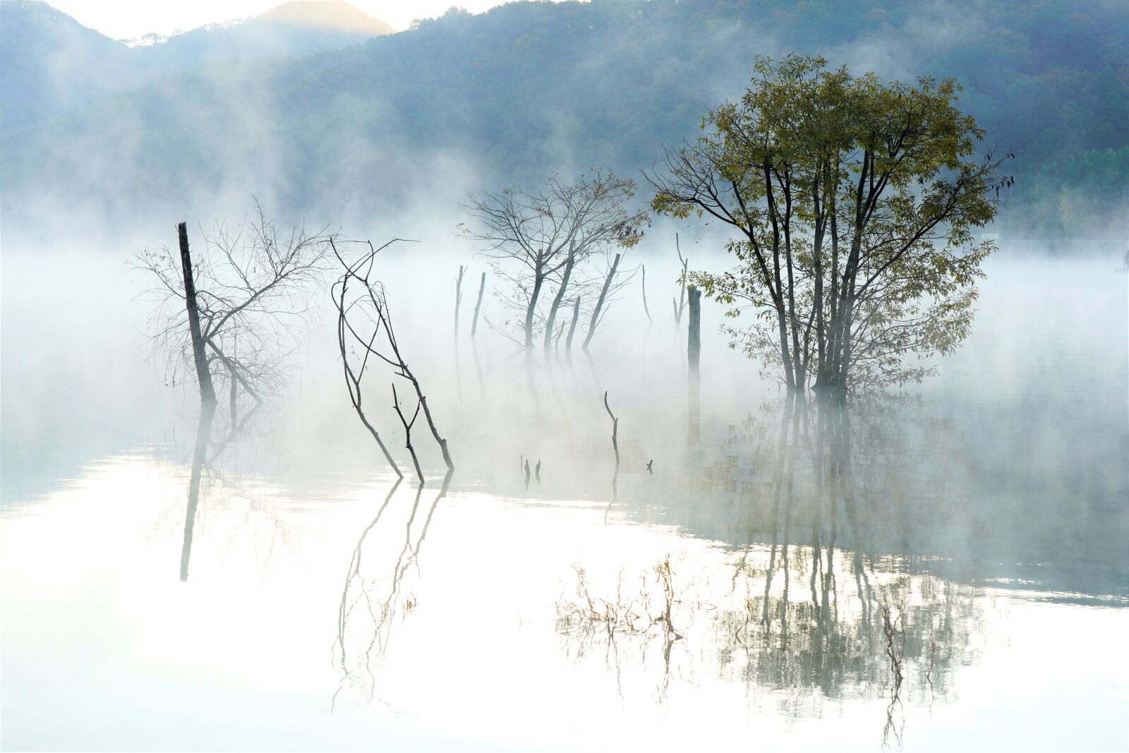 Sony FE 24-105mm F4 G OSS sample photo. Reservoir, lake, korea photography