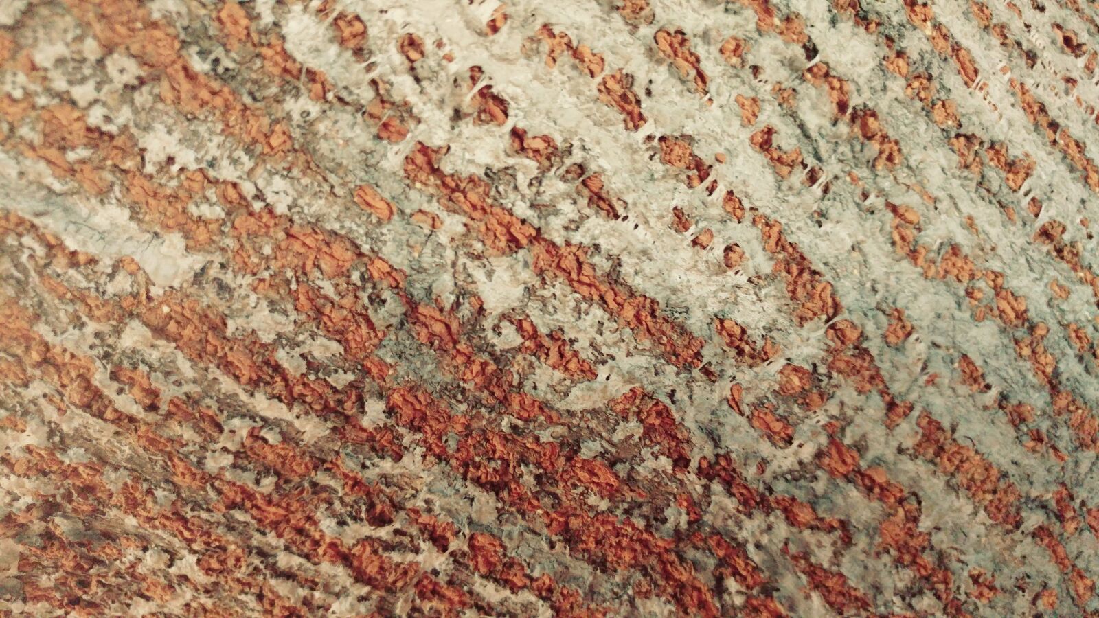 LG G5 sample photo. Bark, tree, pattern photography