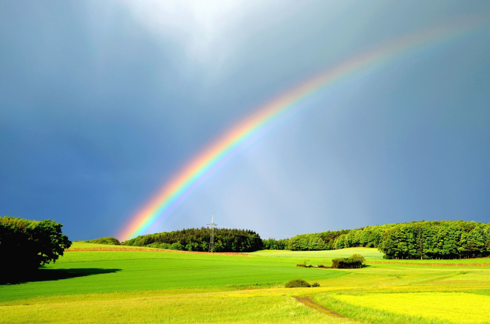 Nikon D5100 sample photo. Rain, rainbow, meadow, forest photography