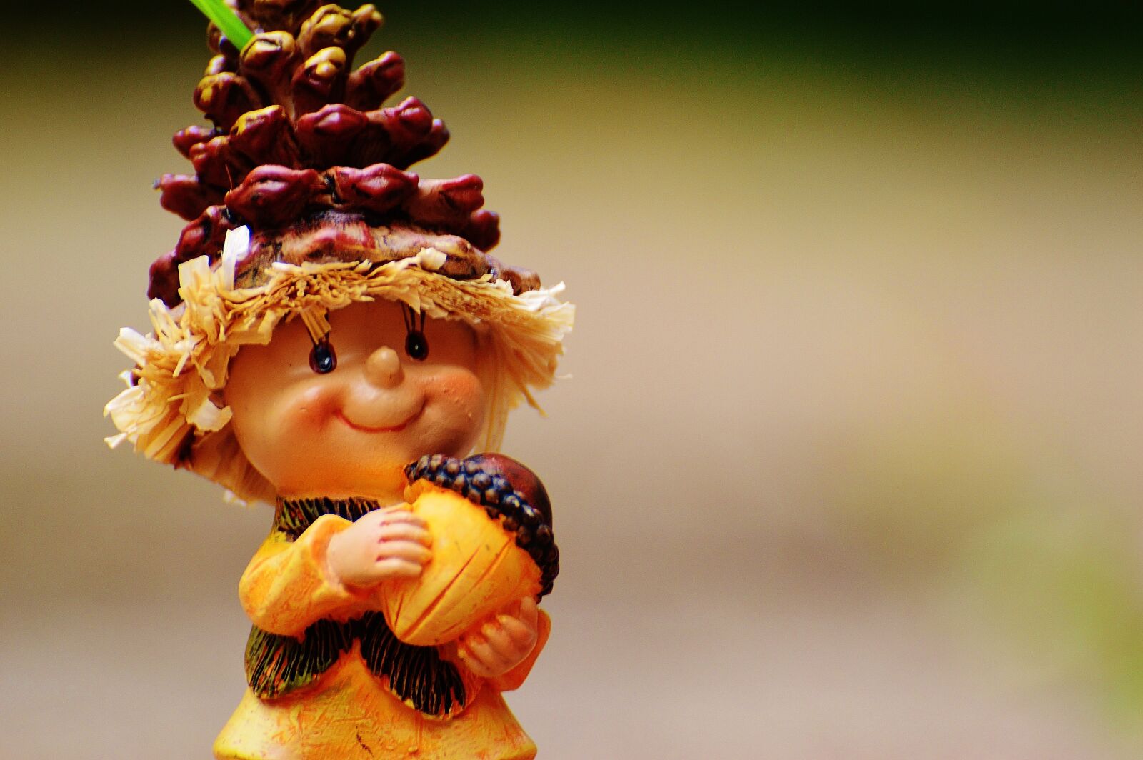 Nikon D3200 sample photo. Imp, acorn, autumn photography