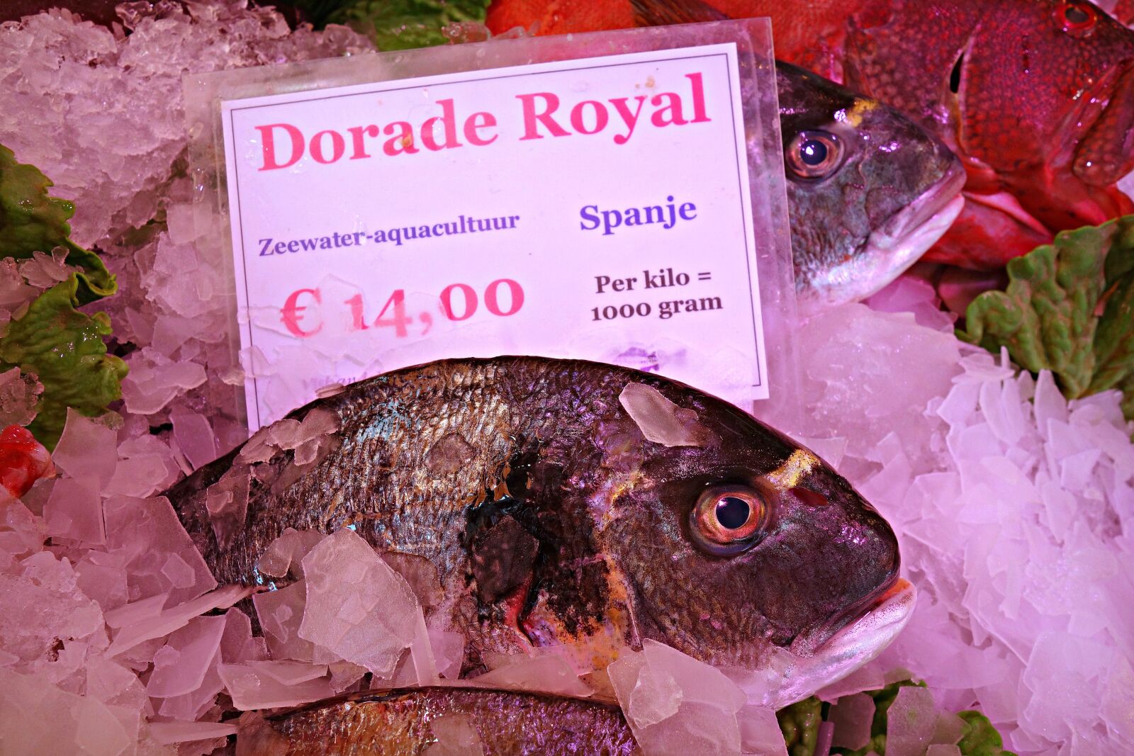 Sony Cyber-shot DSC-RX100 sample photo. Fish, animal, seafood photography