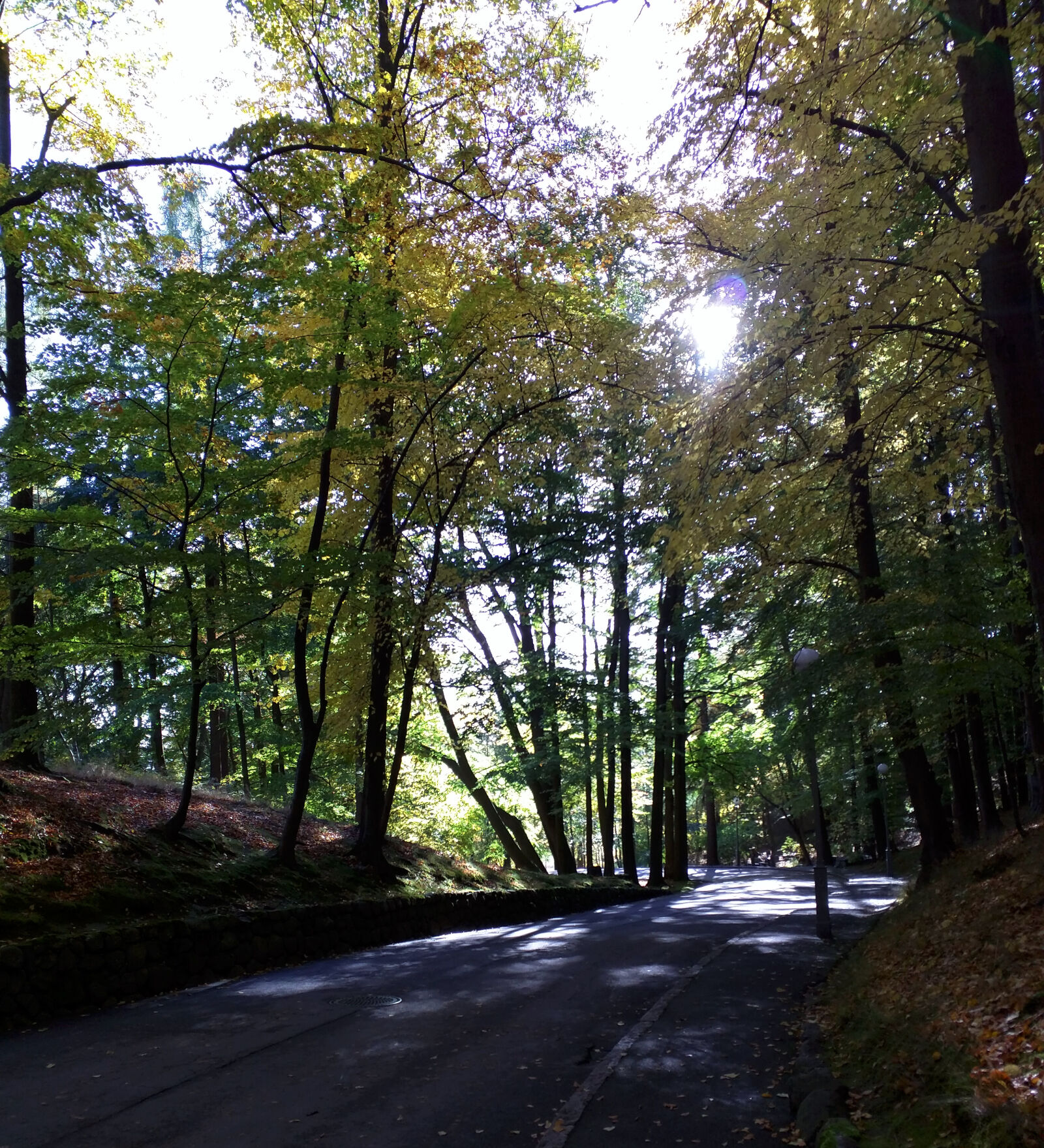 Motorola Nexus 6 sample photo. Autumn, road, sun, walkway photography