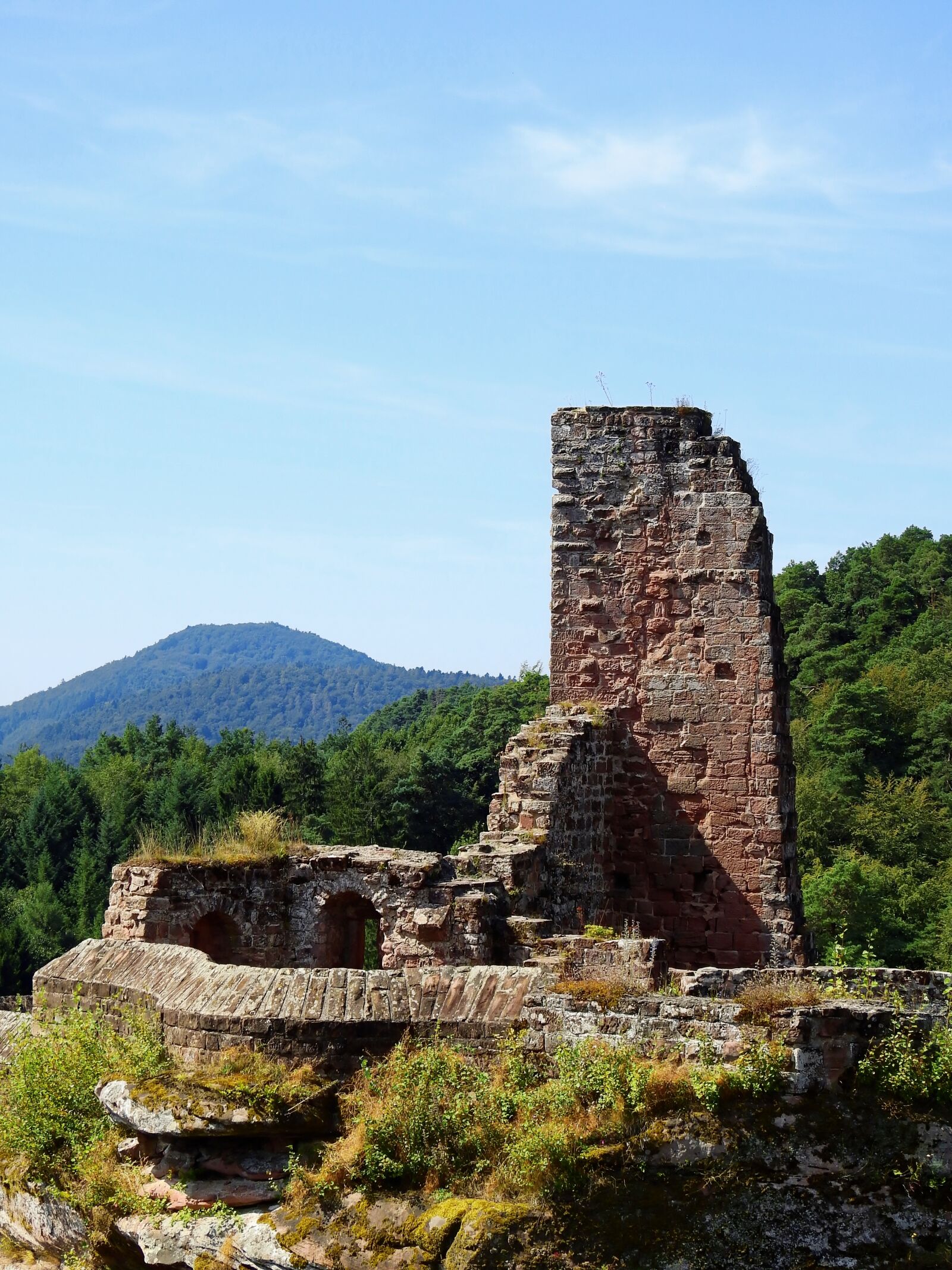 Nikon Coolpix P900 sample photo. Castle, ruin, middle ages photography