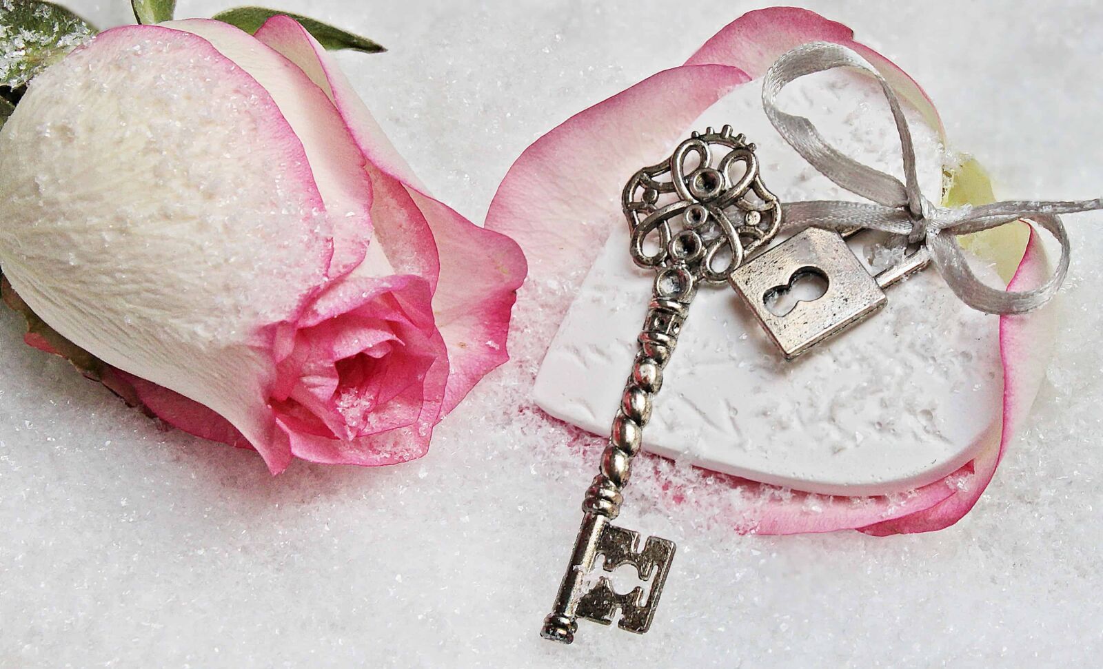 Canon EOS 550D (EOS Rebel T2i / EOS Kiss X4) sample photo. Rose, petals, love, jewelry photography